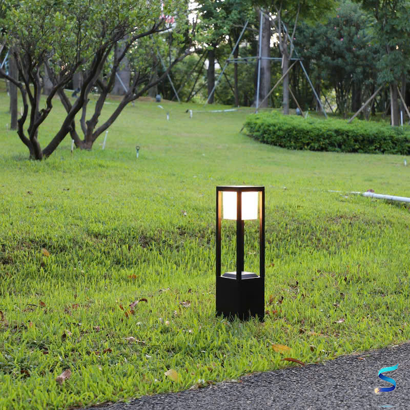 NẤM VUÔNG NSV-06 - Ảnh 4