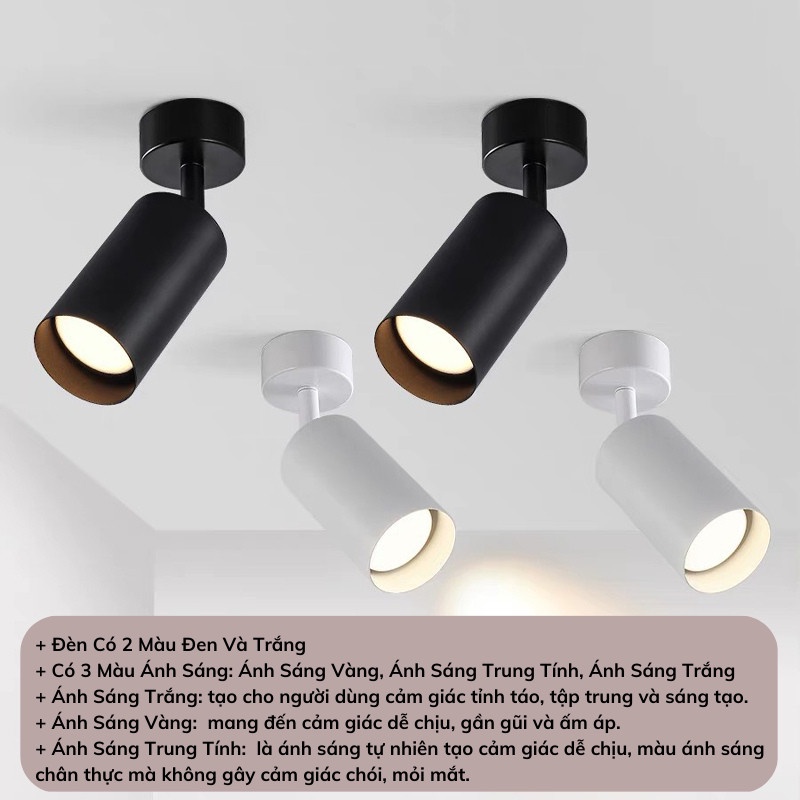 Đèn Rọi Ray Đế Ngồi Sunled - Ảnh 4